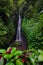 Excited Caucasian woman raising arms in front of waterfall. View from back. Leke Leke waterfall, Bali, Indonesia