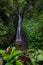 Excited Caucasian woman raising arms in front of waterfall. View from back. Leke Leke waterfall, Bali, Indonesia