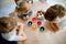 Excited little toddler girl and two kids boys coloring eggs for Easter. Three children, siblings looking surprised at