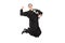 Excited male priest jumping with joy