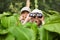 Excited young campers hiding in grass looking through binoculars