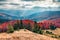 Exciting autumn scene of mountain valley. Calm morning scene of Carpathian mountains, Kvasy village location, Ukraine, Europe. Bea