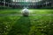 Exciting penalty moment captured on green soccer field backdrop