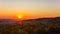 Exciting sunrise over fogged city and park, aerial view, Lviv