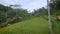 Exciting view of green endless rice fields and tropical garden of Bali. Terraced luxuriant tropical vegetation is coming