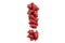 Exclamation mark from dragon fruits. 3D rendering