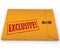 Exclusive Classified Information Content Yellow Envelope Word