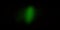 Exclusive dark abstract grainy ultra wide pixel black green emerald grass gradient background