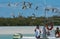 Excursion boat with tourists feeding at the gulls in the Holbox Laguna Conil, Mexico