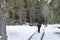 Excursionist woman in the path in National Park of AigÃ¼estortes and lake of Sant Maurici