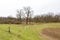 Execution poles near Auid forest