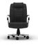 Executive Office Chair