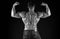 Exercises for back. Bodybuilder perfect shape rear view. Strong bodybuilder flexing arms muscles black background. Fit