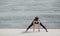 Exercises for flexibility. Joyful african american girl in sportswear with fitness tracker doing stretching