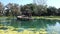 Exercising horses in water at a traning facility in florida