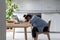 Exhausted Asian freelancer woman overworked tired from work or study on laptop fell asleep on table.