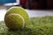 An exhausted tennis ball standing on a green grass