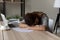 Exhausted unmotivated young female worker fallen asleep at table.