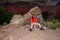 Exhausted woman backpacker resting on the New Hance Trail in the Grand Canyon.