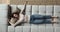 Exhausted young woman sleeping on cozy couch.