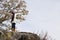 Exhilarated woman standing on rocks