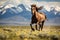 Exhilarating and graceful display of wild horses galloping freely across  Montana wilderness,