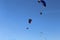 Exibitions of paraglinder