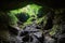 Exit of a cave seen from the inside. You can see lianas and the vegetation of a jungle.