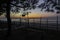 Exit door to the beach with fence and pine tree in the morning sky