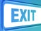 Exit internet blue icon