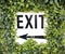 Exit sign with ivy