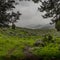 Exiting Forest into Wyoming Wilderness