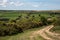 Exmoor landscape with open moorland divided by hedges