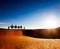 Exotic adventure: turist riding camels on sand dunes in desert at sunrise.