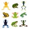 Exotic amphibian set. Different frogs in cartoon style. Green animals isolate on white