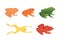 Exotic amphibian set. Frogs in different styles Cartoon Vector Illustration isolated. tropical animals