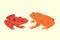 Exotic amphibian set. Frogs in different styles Cartoon Vector Illustration isolated. tropical animals