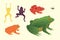 Exotic amphibian set. Frogs in different styles Cartoon Vector Illustration isolated. tropical animals