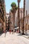 Exotic Architecture And Tropical Street Palm Trees Downtown Barcelona City