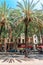 Exotic Architecture And Tropical Street Palm Trees Downtown Barcelona City