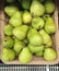 Exotic asian delicious green pear, Chinese pear