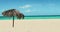 Exotic beach with palm tree umbrella, azure ocean