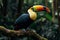 Exotic beauty Toucan sitting on a jungle branch, colorful feathers