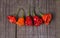 Exotic bell shaped capsicum over rustic wooden background