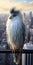 Exotic Bird Guarding World Trade Center Towers: Hyper-realistic Urban Illustration