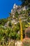 Exotic Botanic Garden Le Jardin de Exotique on top of medieval fortress hill in historic town of Eze in France