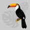 Exotic bright Toucan bird in profile. A Toucan sits on a branch with tropical leaves