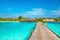 Exotic bungalow on the background of a sandy beach with tall palm trees, Maldives