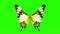 Exotic butterfly green screen 3d rendering animation.