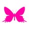 Exotic butterfly vector icon